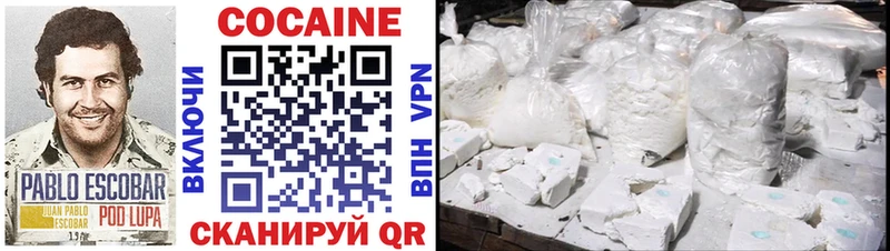 закладки  Новодвинск  COCAIN 97% 
