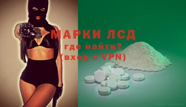 стаф Баксан
