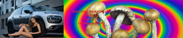 круглые Арсеньев