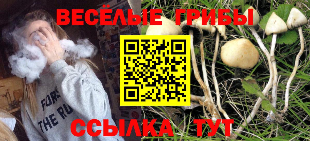 Псилоцибиновые грибы GOLDEN TEACHER  Вход с VPN  Новодвинск 
